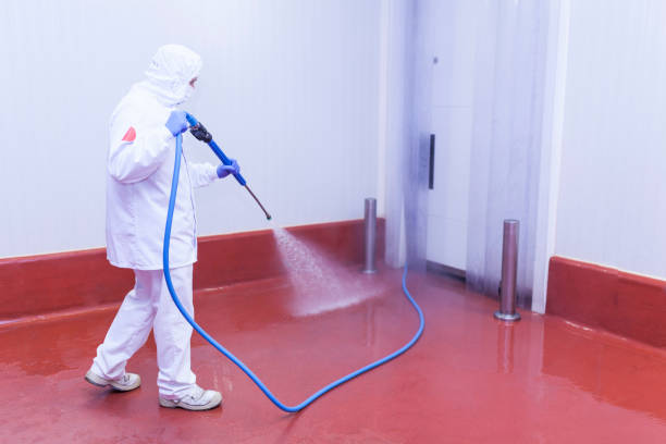 Best Patio and Deck Pressure Washing  in Palmetto, GA
